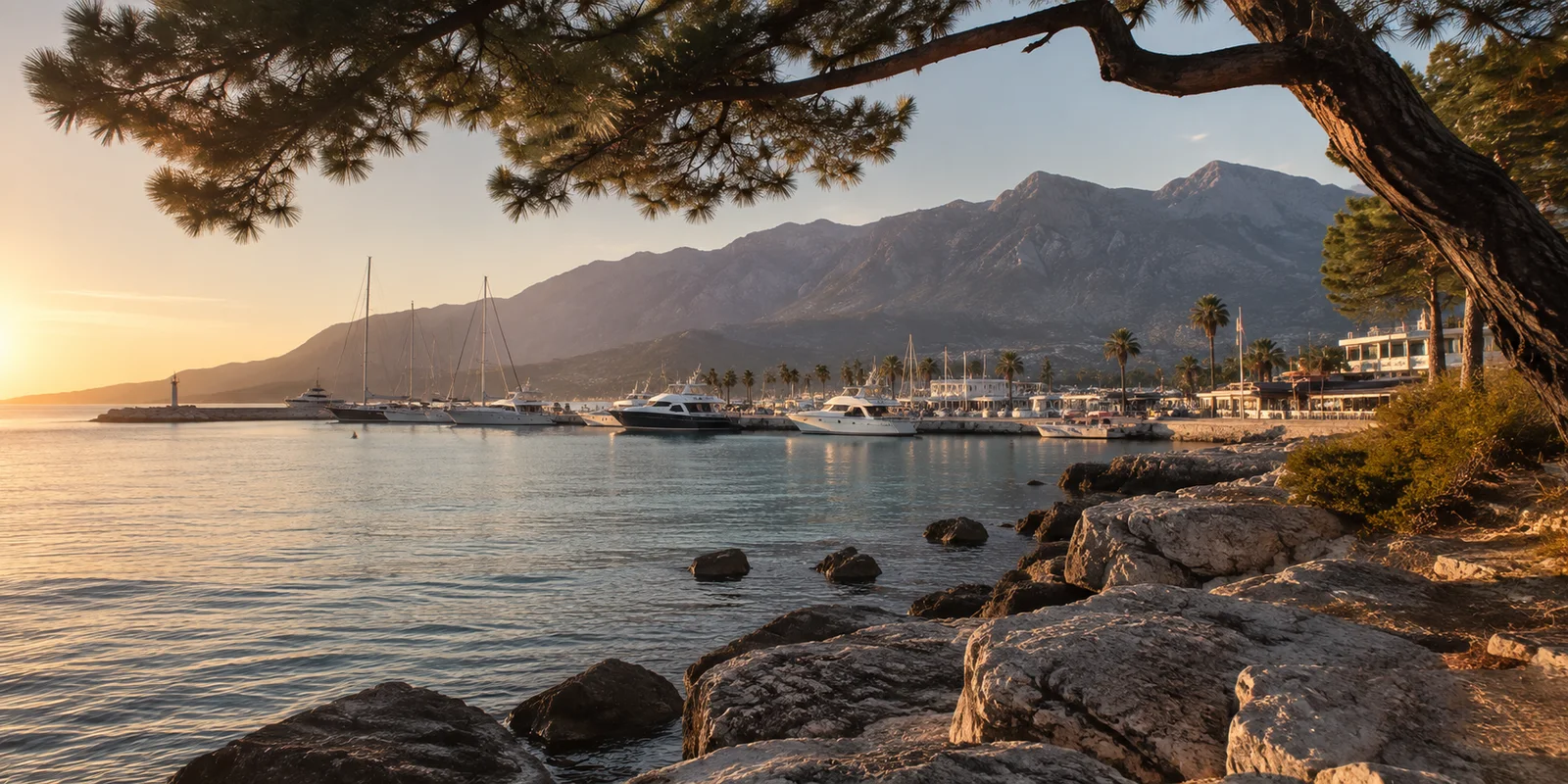 Kemer Web Tasarım GRAINZ DIGITAL